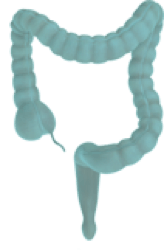 Disease icon 1