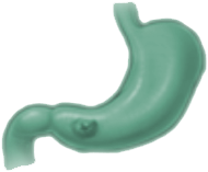 Disease icon 2